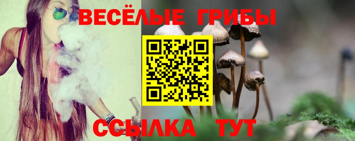 Санкт-Петербург  Псилоцибиновые грибы Magic Shrooms  Вход с VPN 